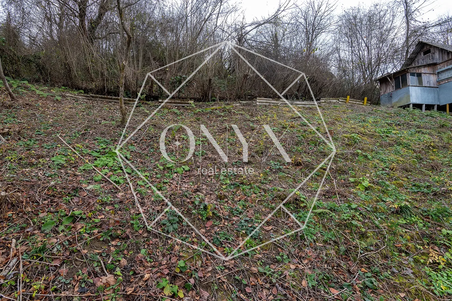 Изображение 9