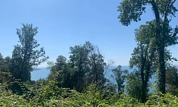 Участок с видом на море