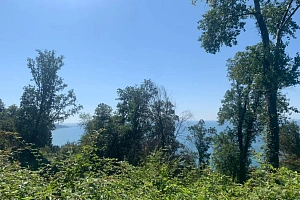 Участок с видом на море