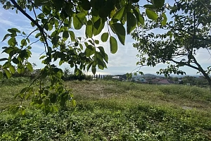 С завораживающим видом