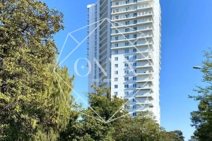 Изображение 23