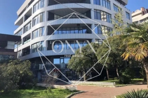 Изображение 11