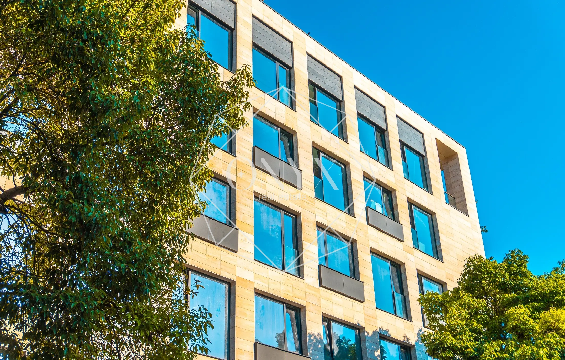 Изображение 12