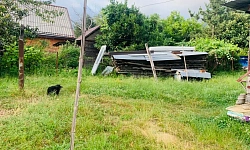 Участок на Дагомысской Баранове