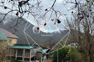 Изображение 11