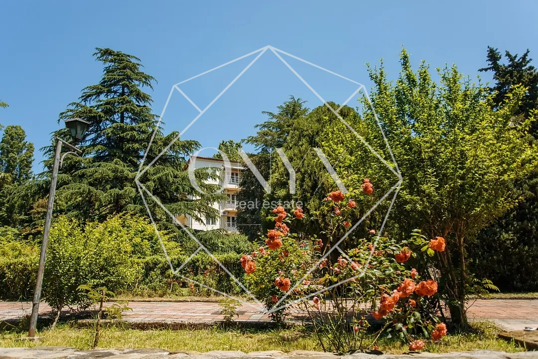 Изображение 12