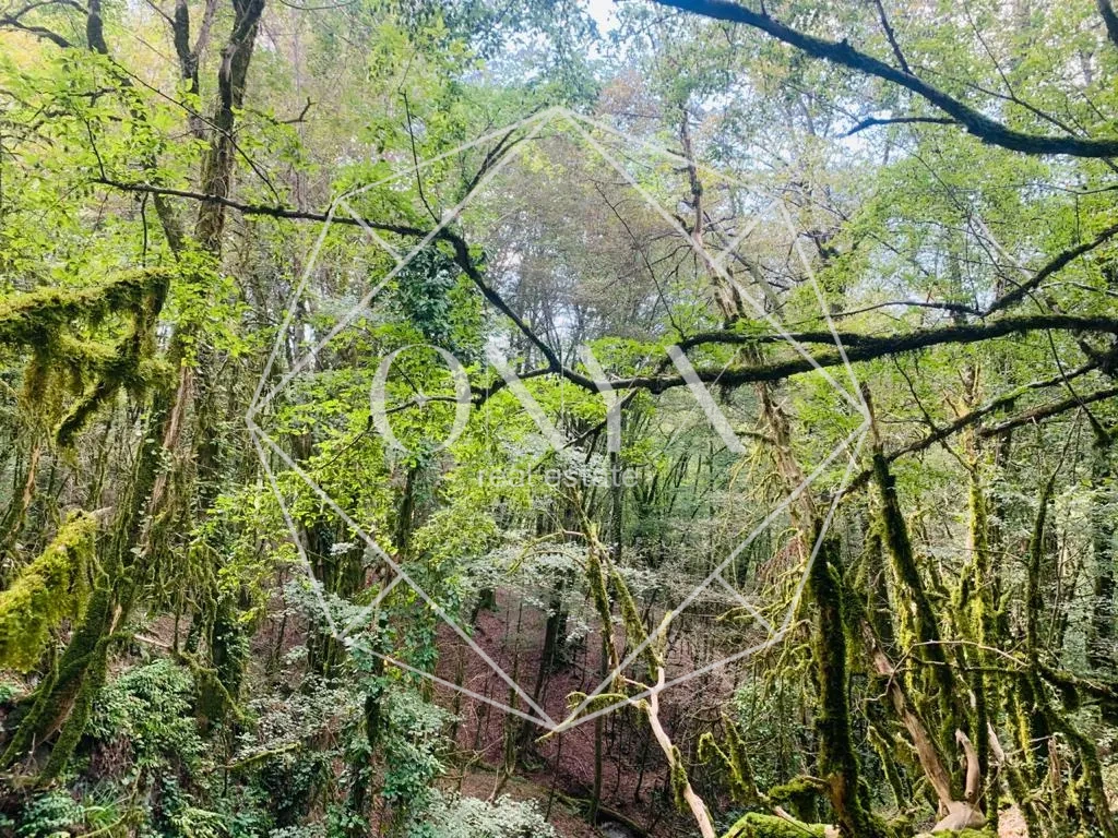 Изображение 21