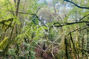 Изображение 21