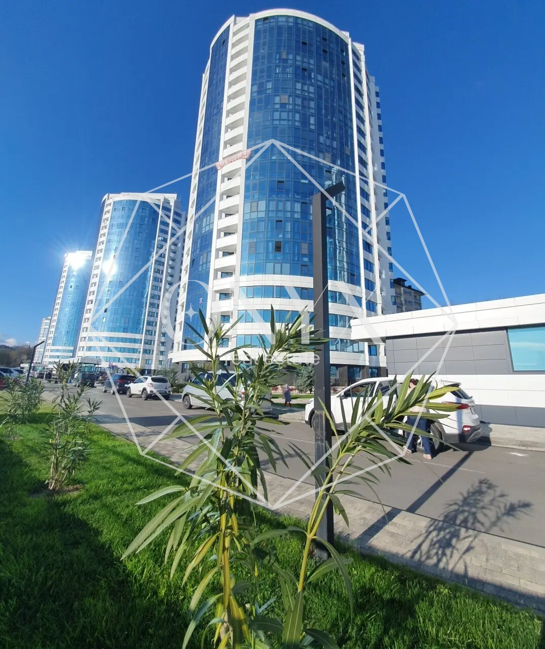 Изображение 11