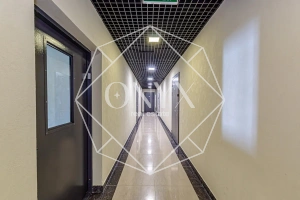 Изображение 15