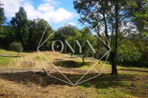 Изображение 12