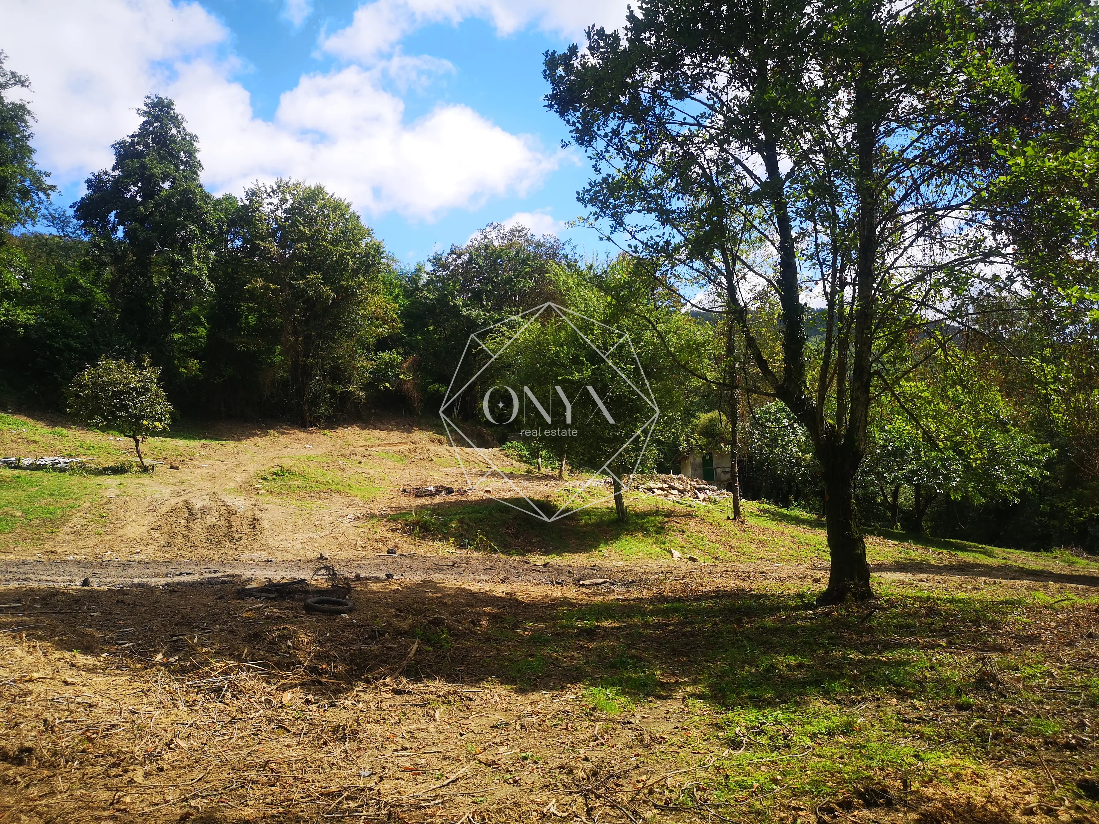 Изображение 12