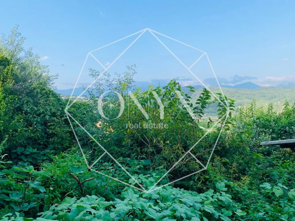 Изображение 19