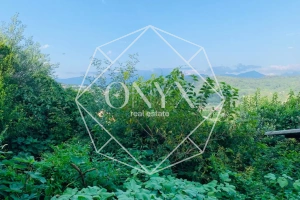 Изображение 19