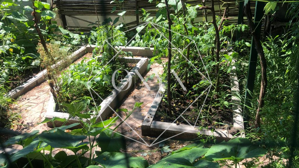 Изображение 18