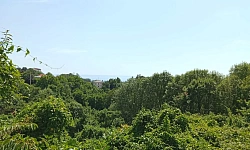 Участок с видом на море.