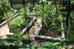 Изображение 18