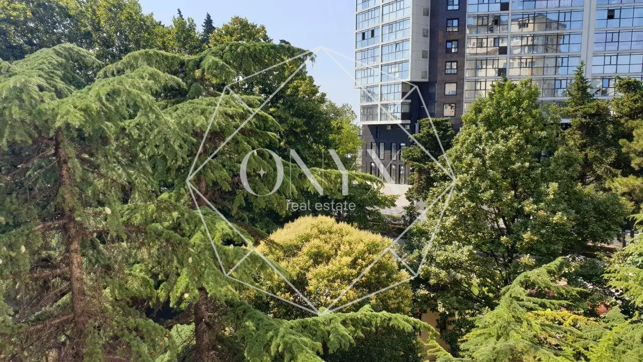 Изображение 12