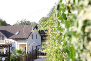 Изображение 14