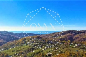 Изображение 12