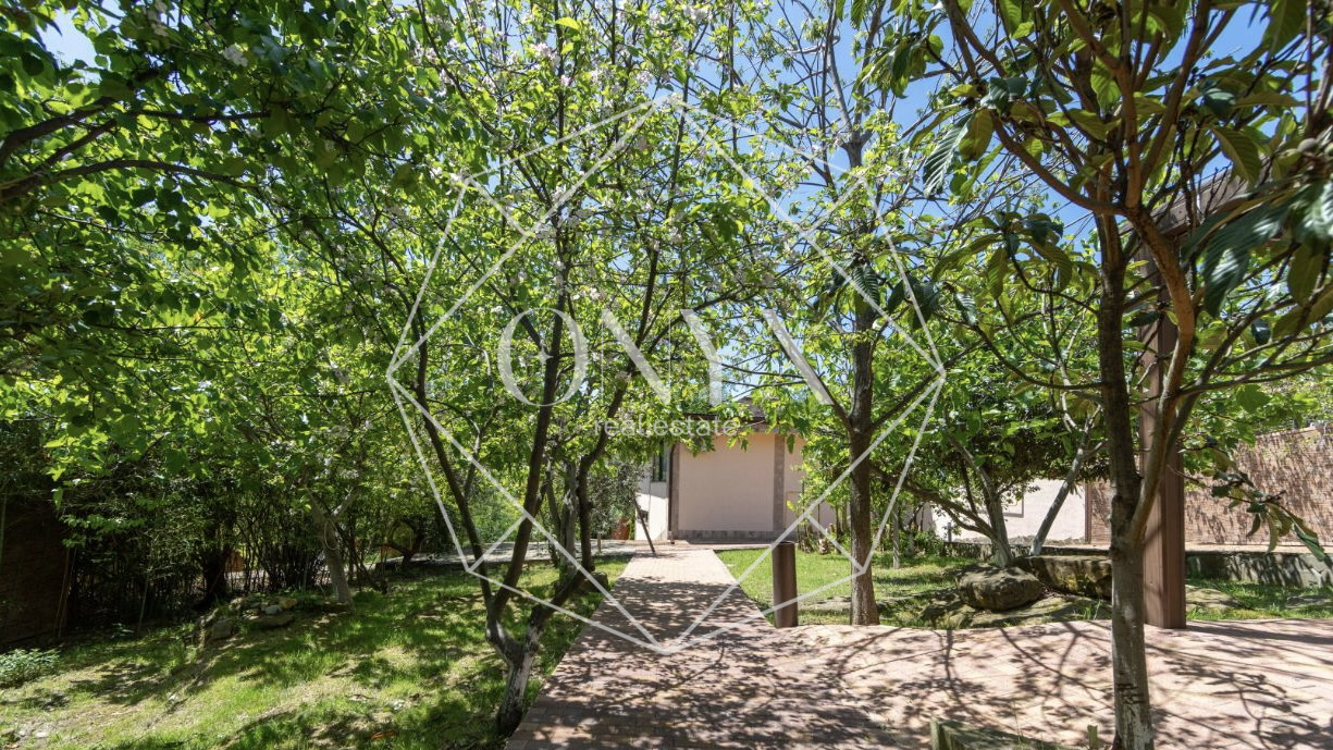 Изображение 18