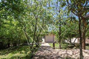 Изображение 18