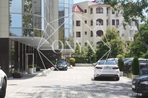 Изображение 12