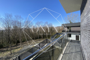 Изображение 17