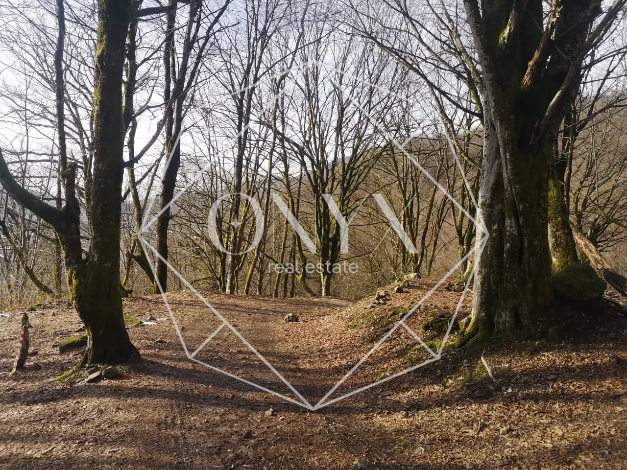 Изображение 10