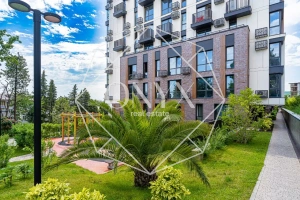 Изображение 12