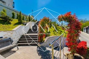 Изображение 8