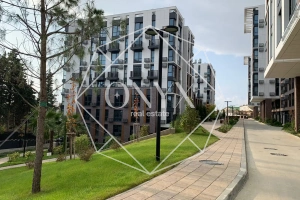 Изображение 11