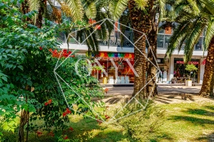 Изображение 6