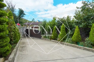 Изображение 12