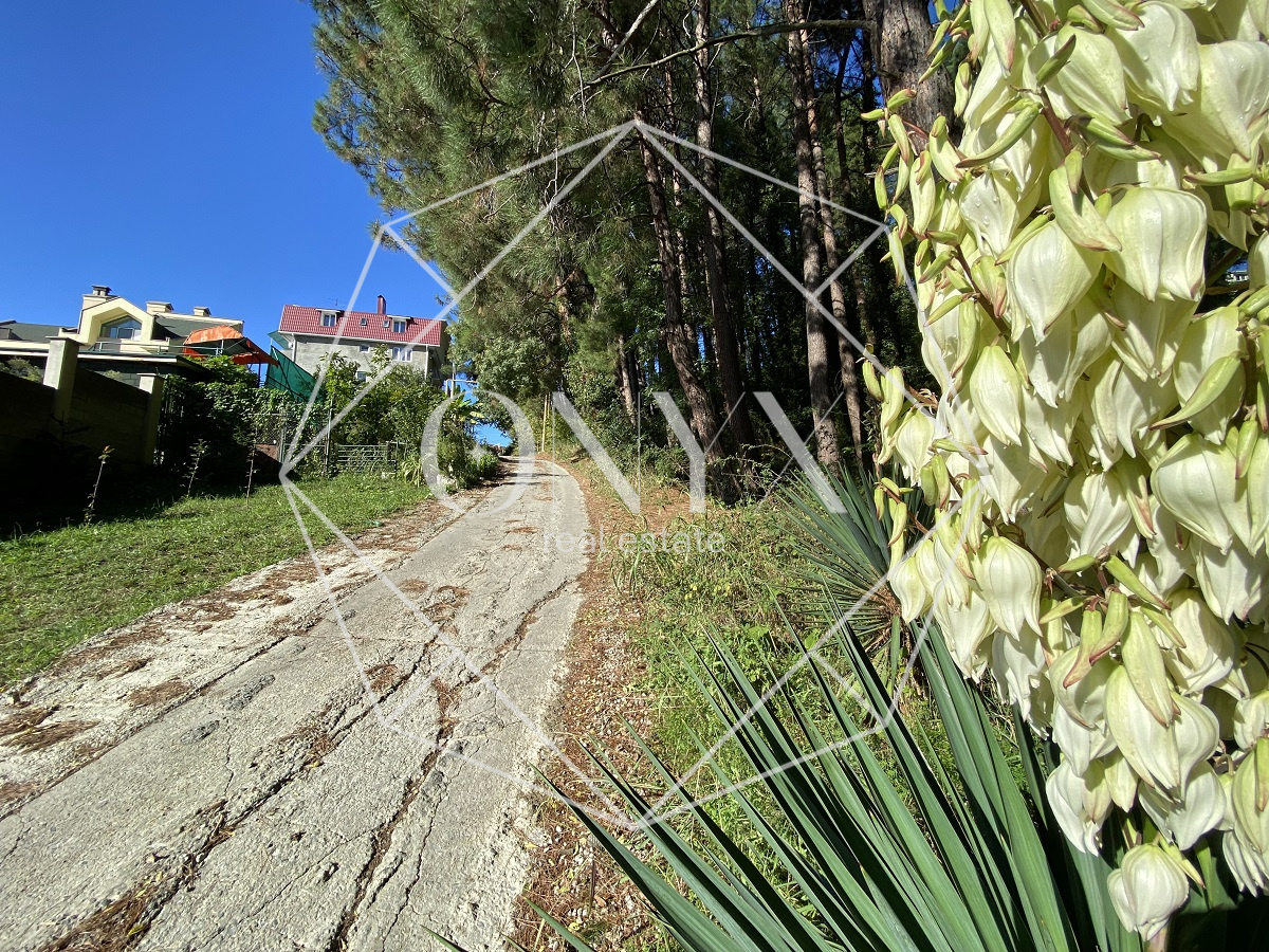 Изображение 14