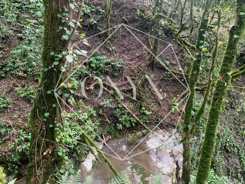 Изображение 14