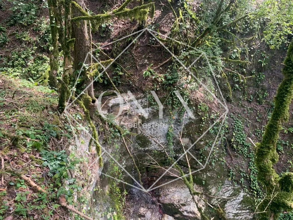 Изображение 26