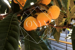 Изображение 15